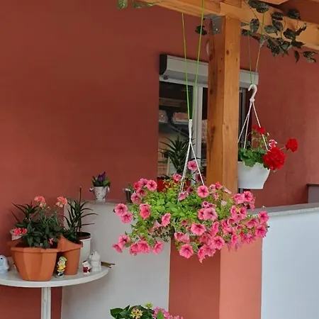 Apartament Leon *